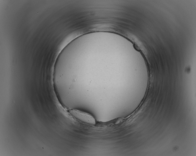 X0000094321386200711241757