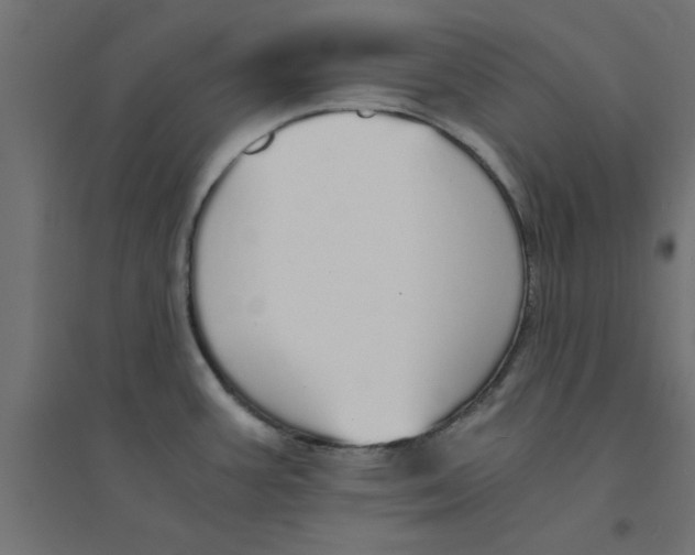 X0000094321387200711241757