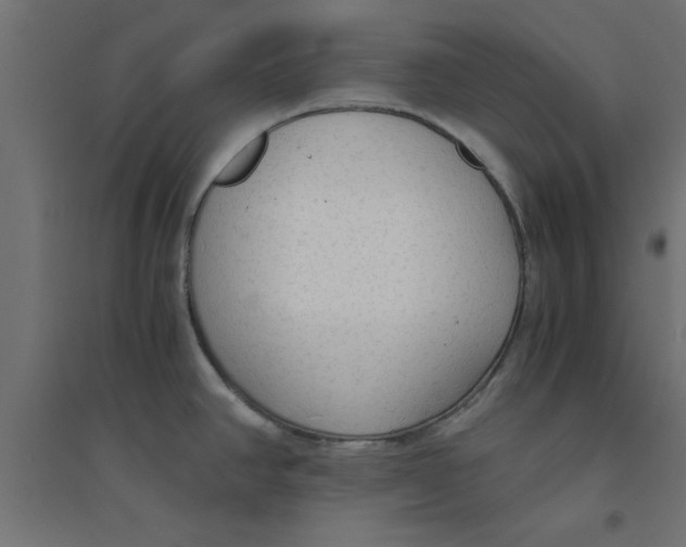 X0000094321390200711241757