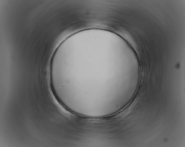 X0000094321391200711241757