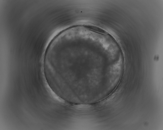 X0000094321392200711241757
