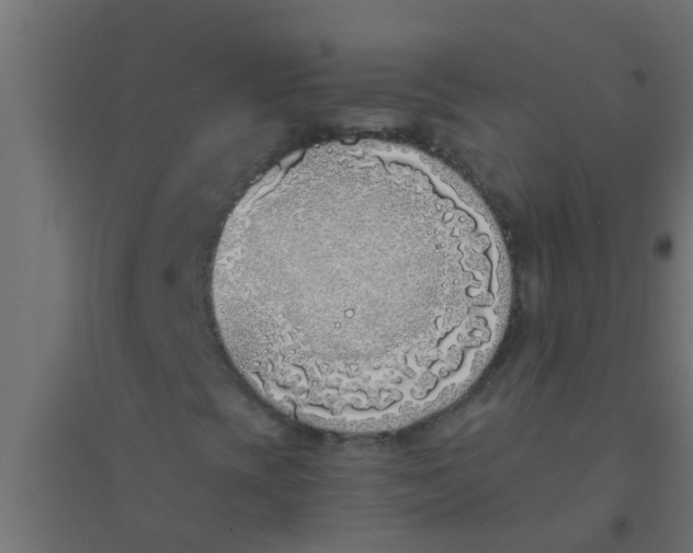 X0000094321393200711241757