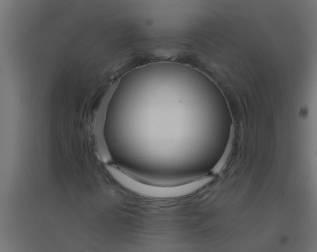 X0000094321394200711241757