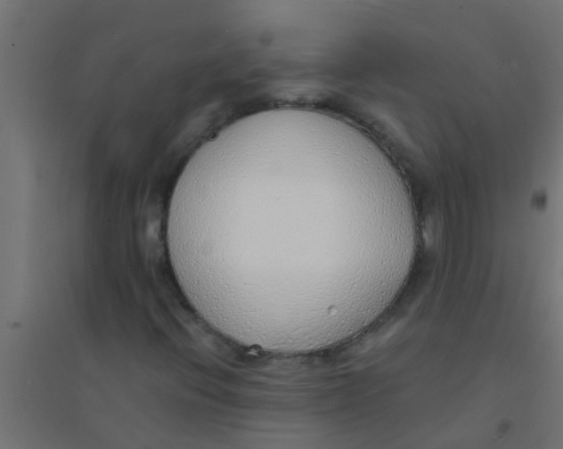 X0000094321396200711241757