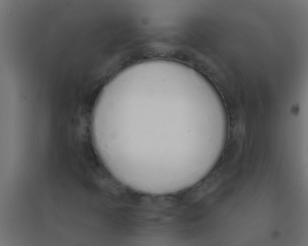X0000094321397200711241757