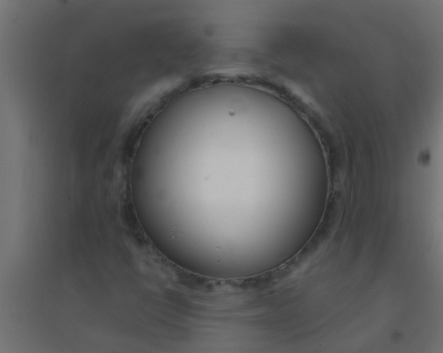 X0000094321398200711241757