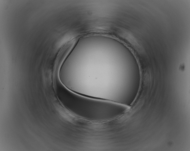 X0000094321402200711241757
