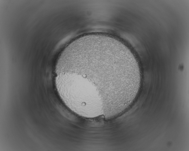 X0000094321403200711241757