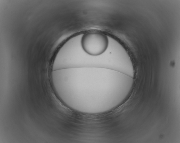 X0000094321404200711241757