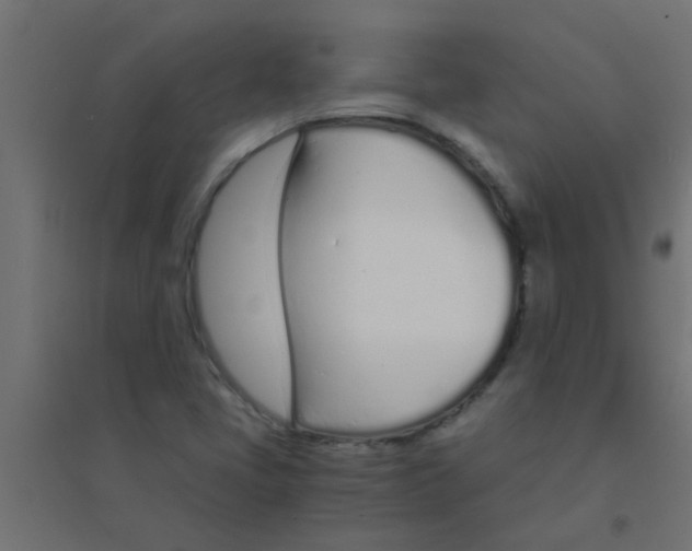 X0000094321405200711241757