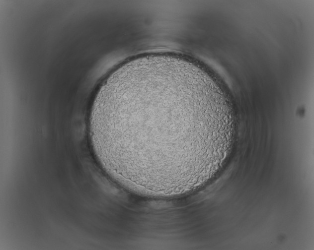 X0000094321407200711241757