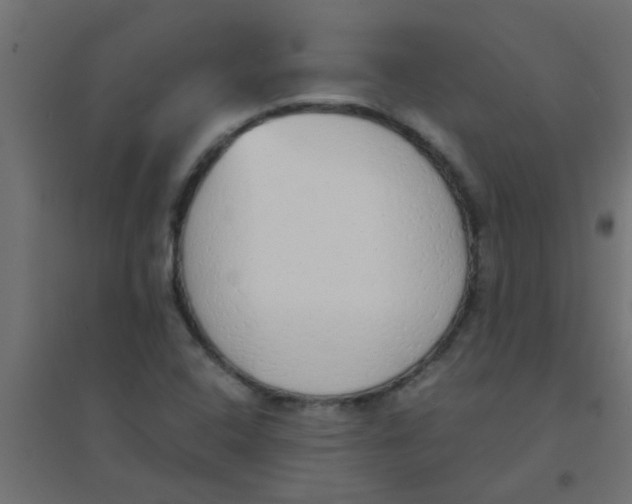 X0000094321408200711241757