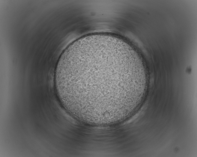 X0000094321409200711241757