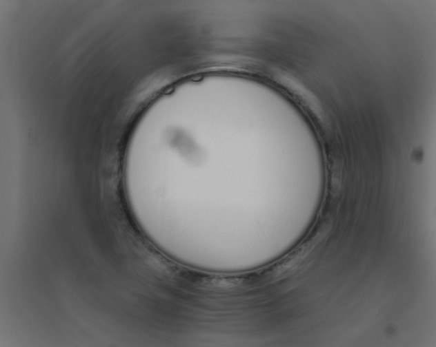 X0000094321411200711241757