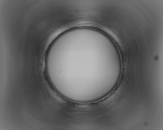 X0000094321413200711241757