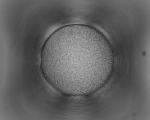 X0000094321415200711241757