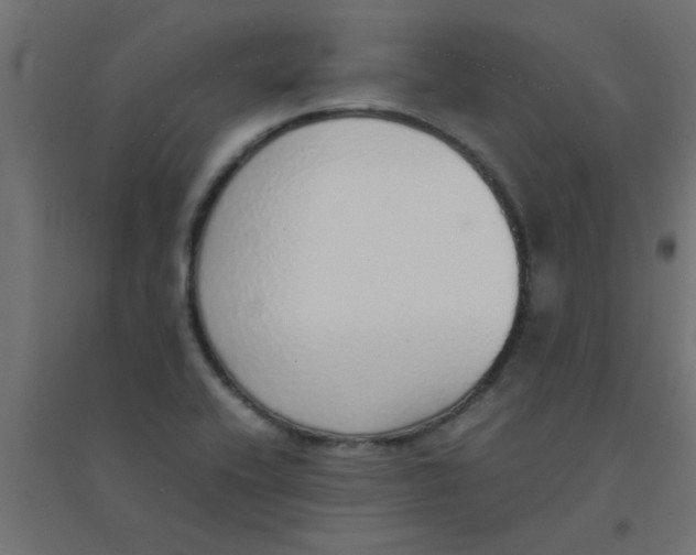 X0000094321416200711241757