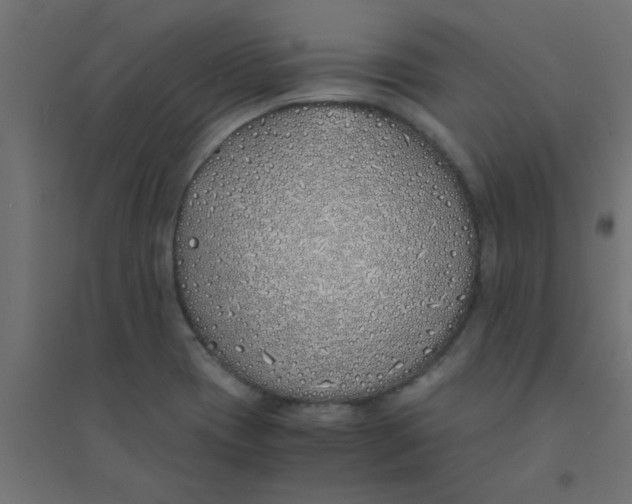 X0000094321417200711241757