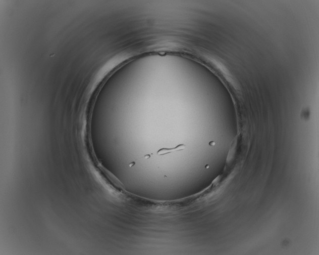 X0000094321418200711241757
