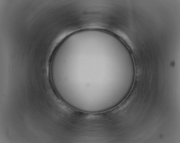 X0000094321419200711241757