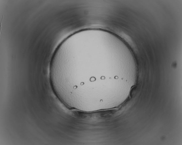 X0000094321420200711241757