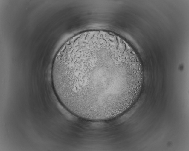X0000094321421200711241757