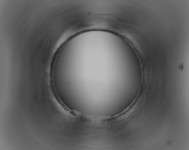 X0000094321422200711241757