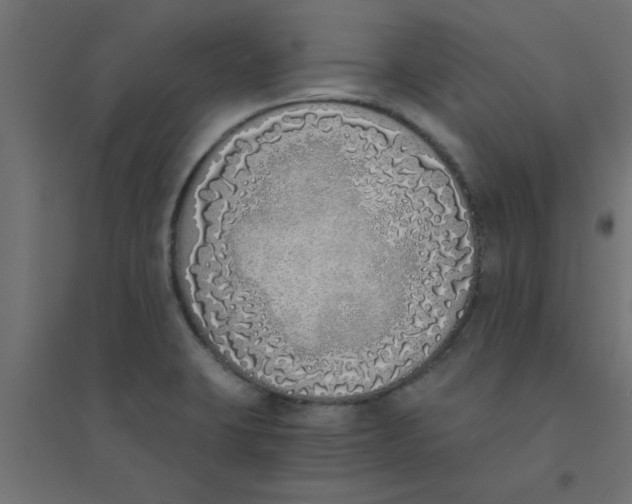 X0000094321423200711241757