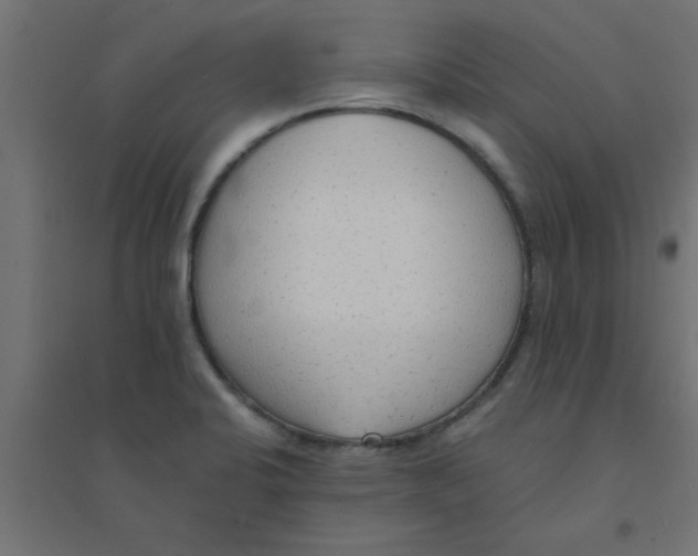 X0000094321424200711241757