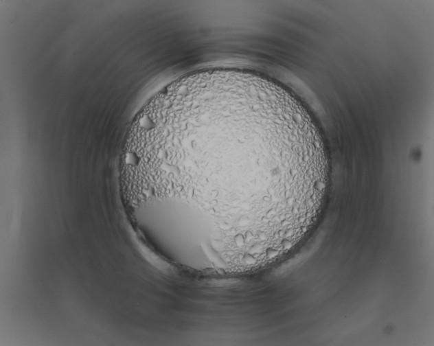 X0000094321425200711241757