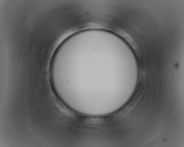 X0000094321427200711241757