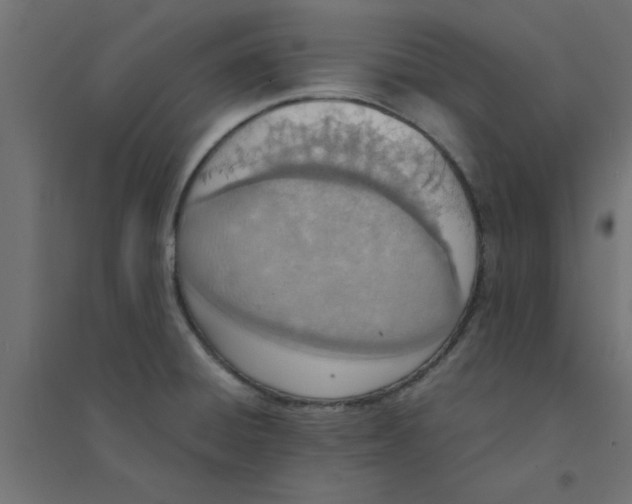 X0000094321428200711241757