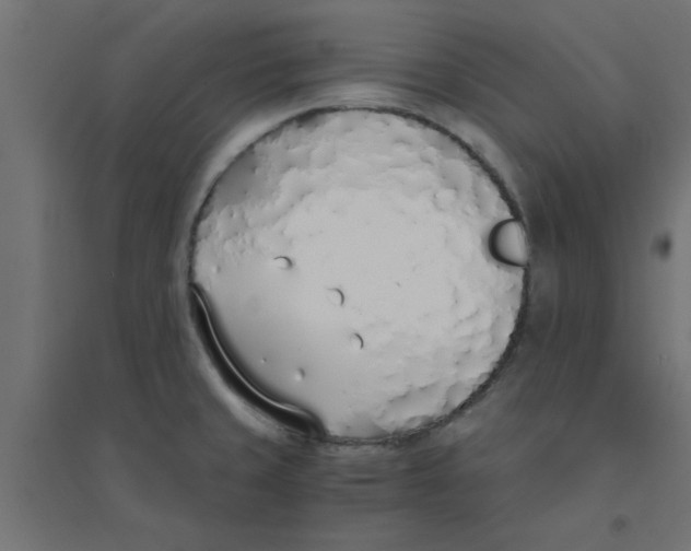 X0000094321429200711241757