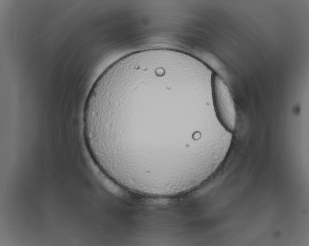 X0000094321431200711241757