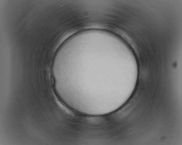 X0000094321433200711241757