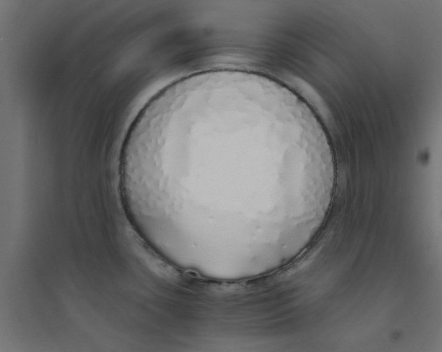 X0000094321435200711241757