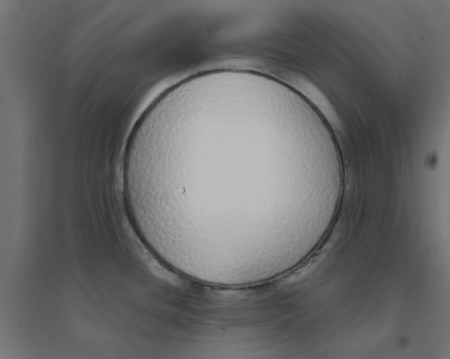 X0000094321436200711241757