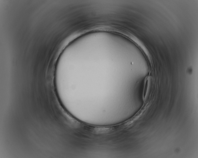 X0000094321437200711241757