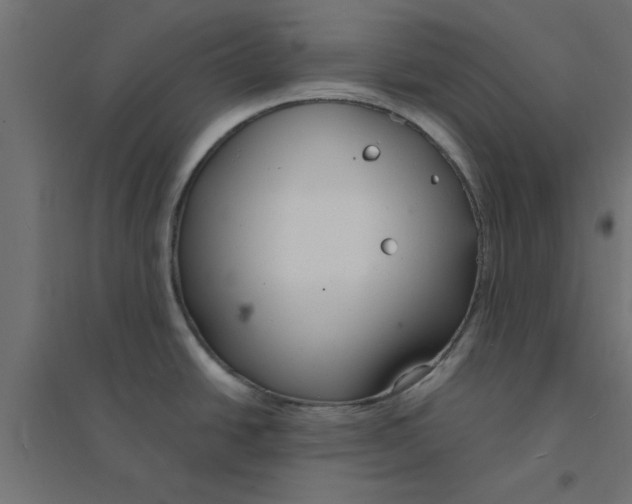 X0000094321438200711241757