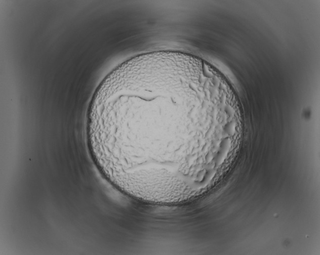 X0000094321439200711241757