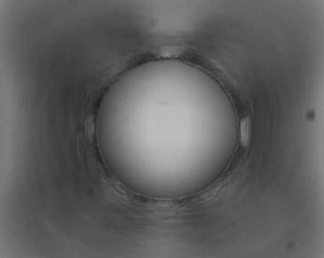 X0000094321443200711241757
