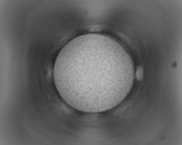 X0000094321444200711241757