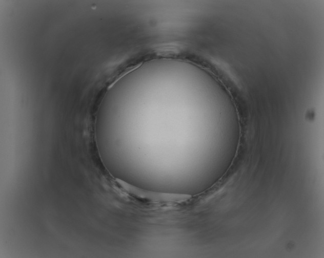 X0000094321445200711241757