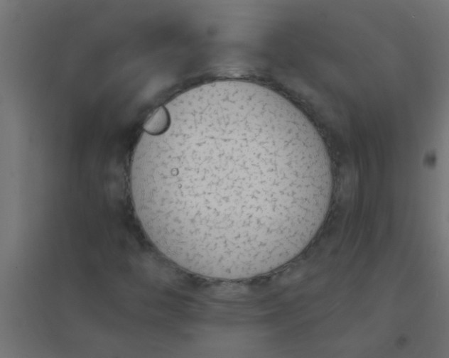 X0000094321446200711241757