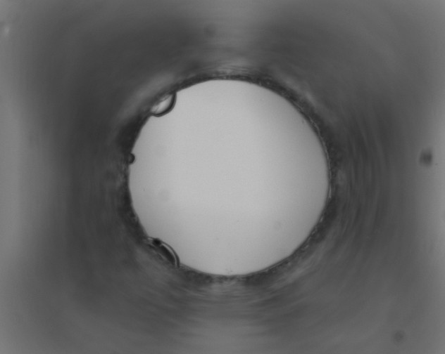 X0000094321447200711241757