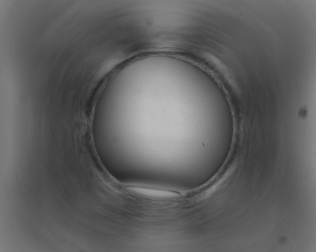 X0000094321449200711241757