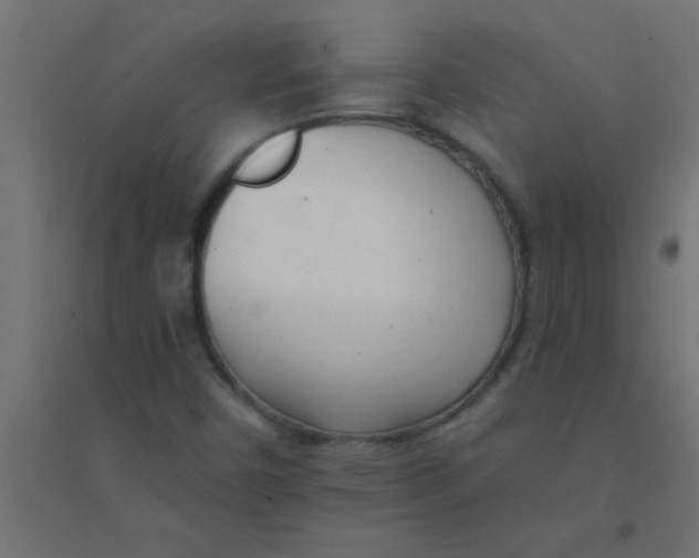 X0000094321450200711241757