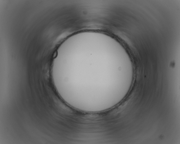 X0000094321451200711241757