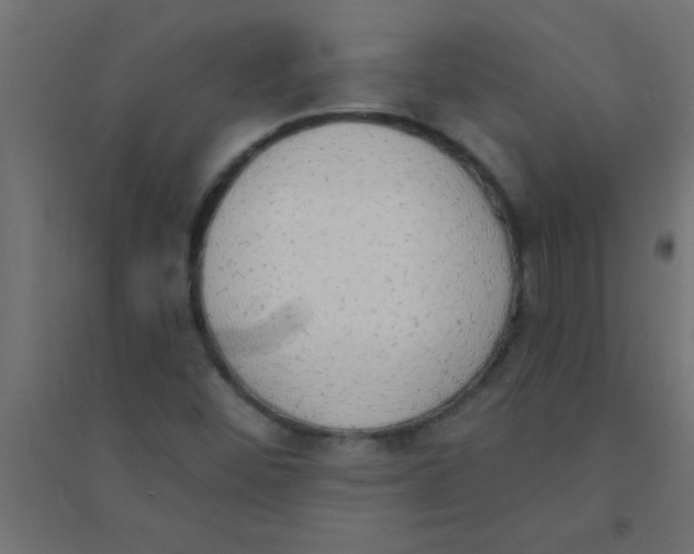 X0000094321452200711241757