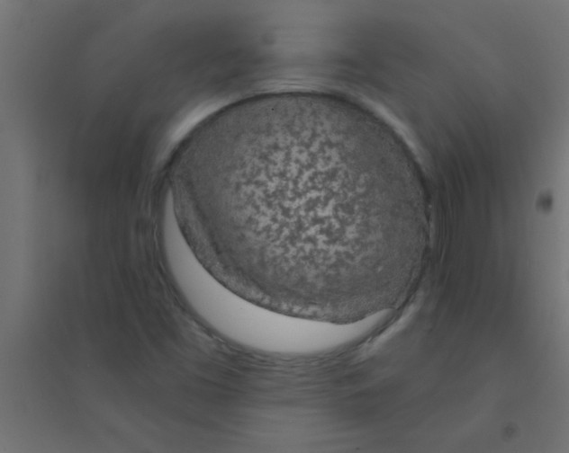 X0000094321453200711241757